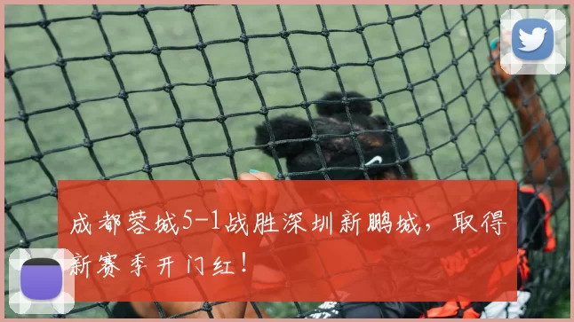 成都蓉城5-1战胜深圳新鹏城，取得新赛季开门红！